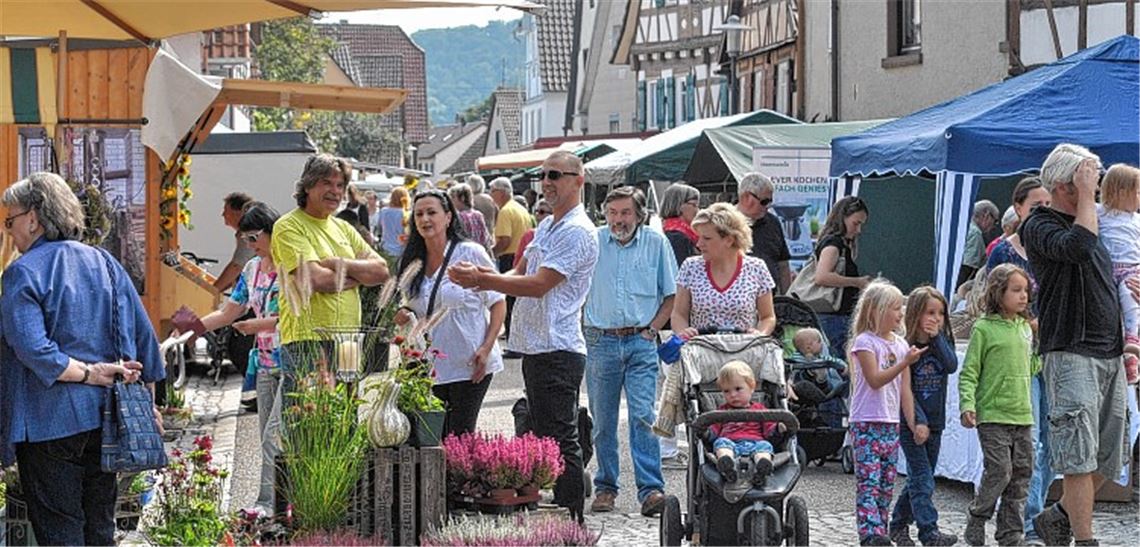 Naturprodukte in Hülle und Fülle Naturprodukte in Hülle und Fülle