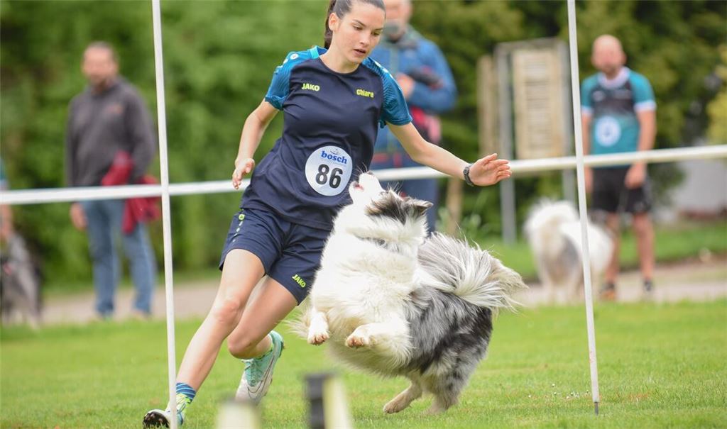 Hundesport hat in Mühlacker eine lange Tradition. Der HSVM soll bei einer Sanierung seiner Anlagen nach dem Willen der Stadtverwaltung unterstützt werden. Symbolfoto: Archiv