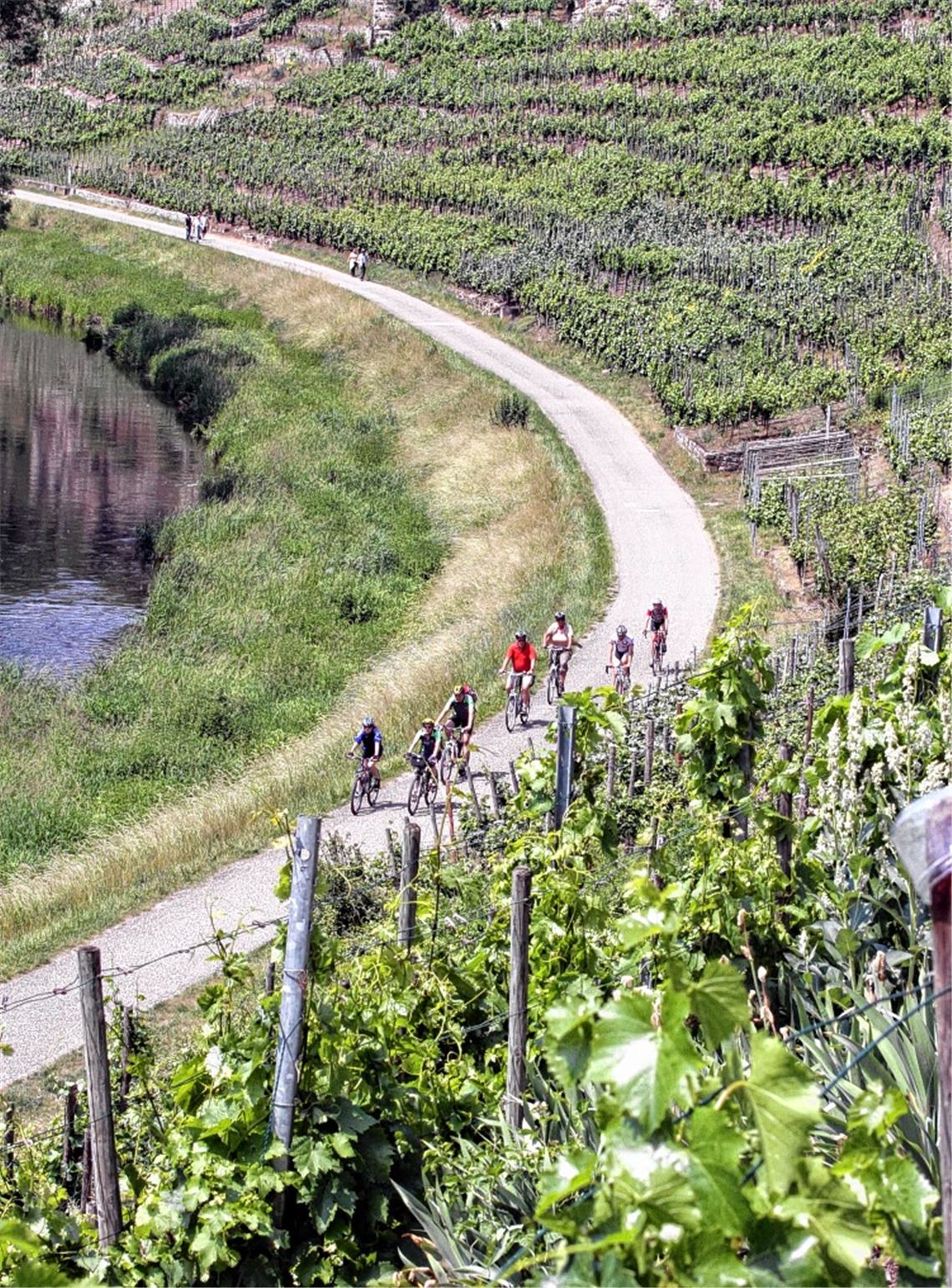„ILEK Enzschleife“: Auch Tourismus spielt eine Rolle.