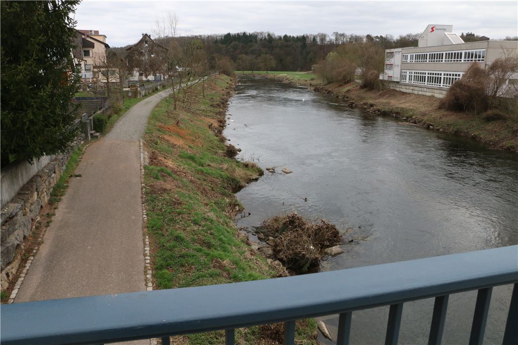 910_0008_128441_ts_Enz_Lomersheim_1