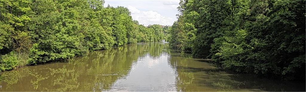 Idylle pur: Oberhalb des Flusskraftwerks präsentiert sich die Enz als beschauliches Gewässer mit dem Charakter eines Sees. Diesen Abschnitt 2015 außen vor zu lassen, hielten viele für schade.