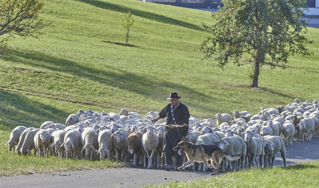 Idyllisches Bild in Öschelbronn. Foto: Tilo Keller