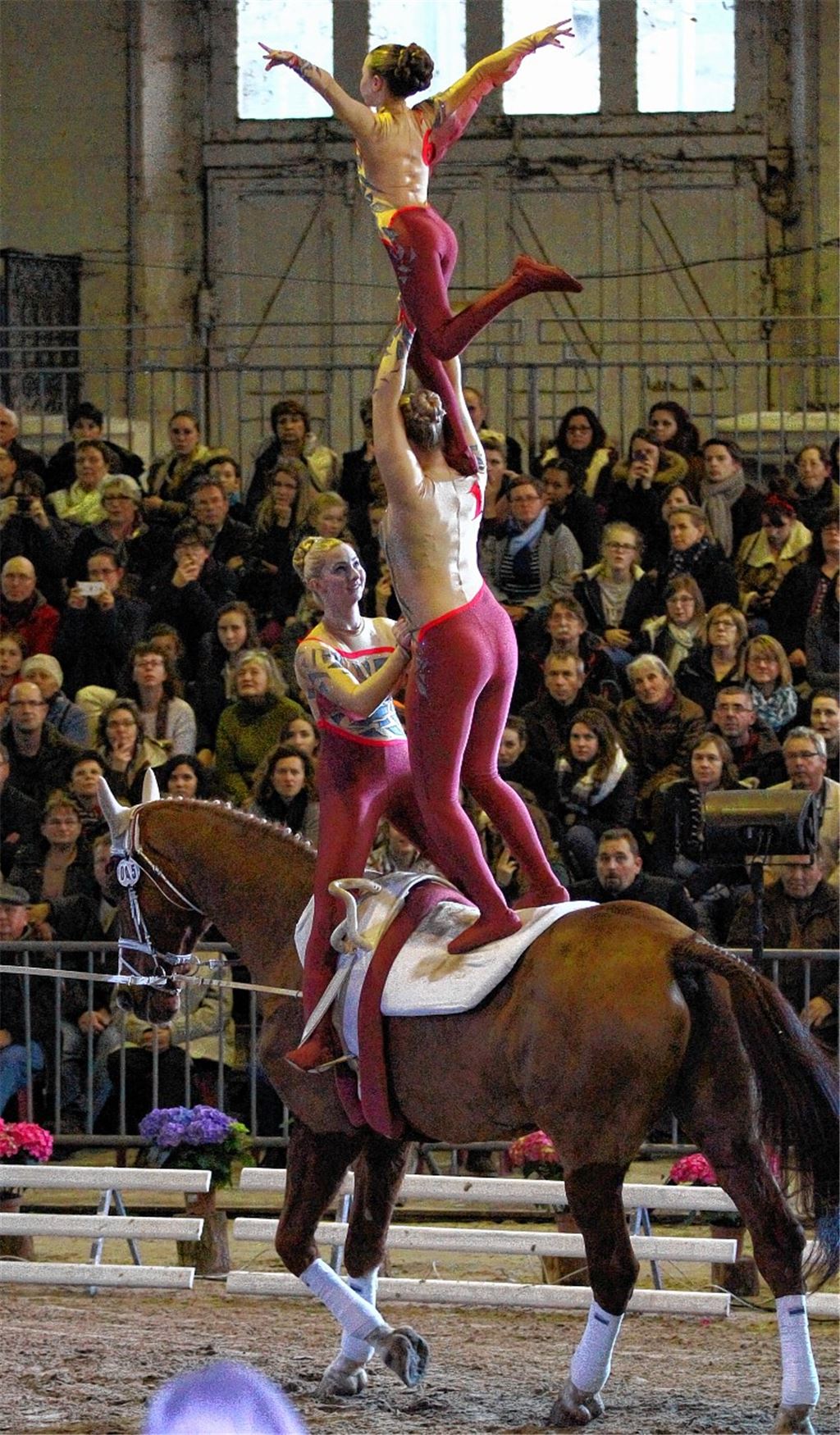 Der Nachwuchs steht im Fokus