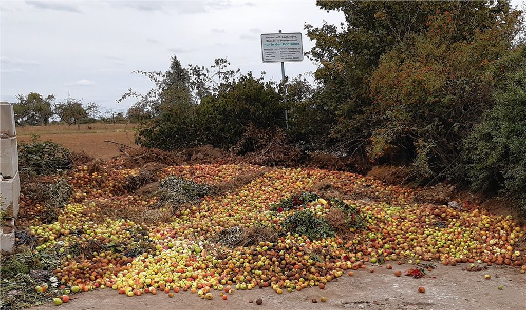 Illegale Ablagerung von Fallobst auf dem Häckselplatz in Enzberg. Foto: Enzkreis