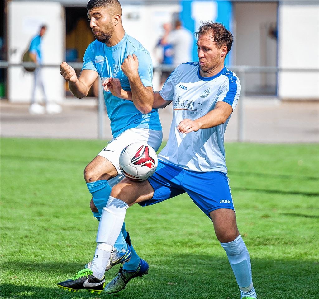 SVI will in die Offensive gehen
