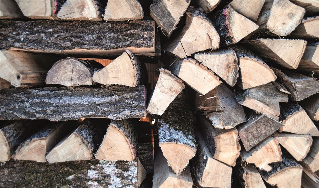 Im Arbeitskreis Wald soll geklärt werden, wie der Holzverkauf in Mühlacker künftig abläuft. Klar ist: Eine Versteigerung wird dazugehören. Symbolfoto: Archiv