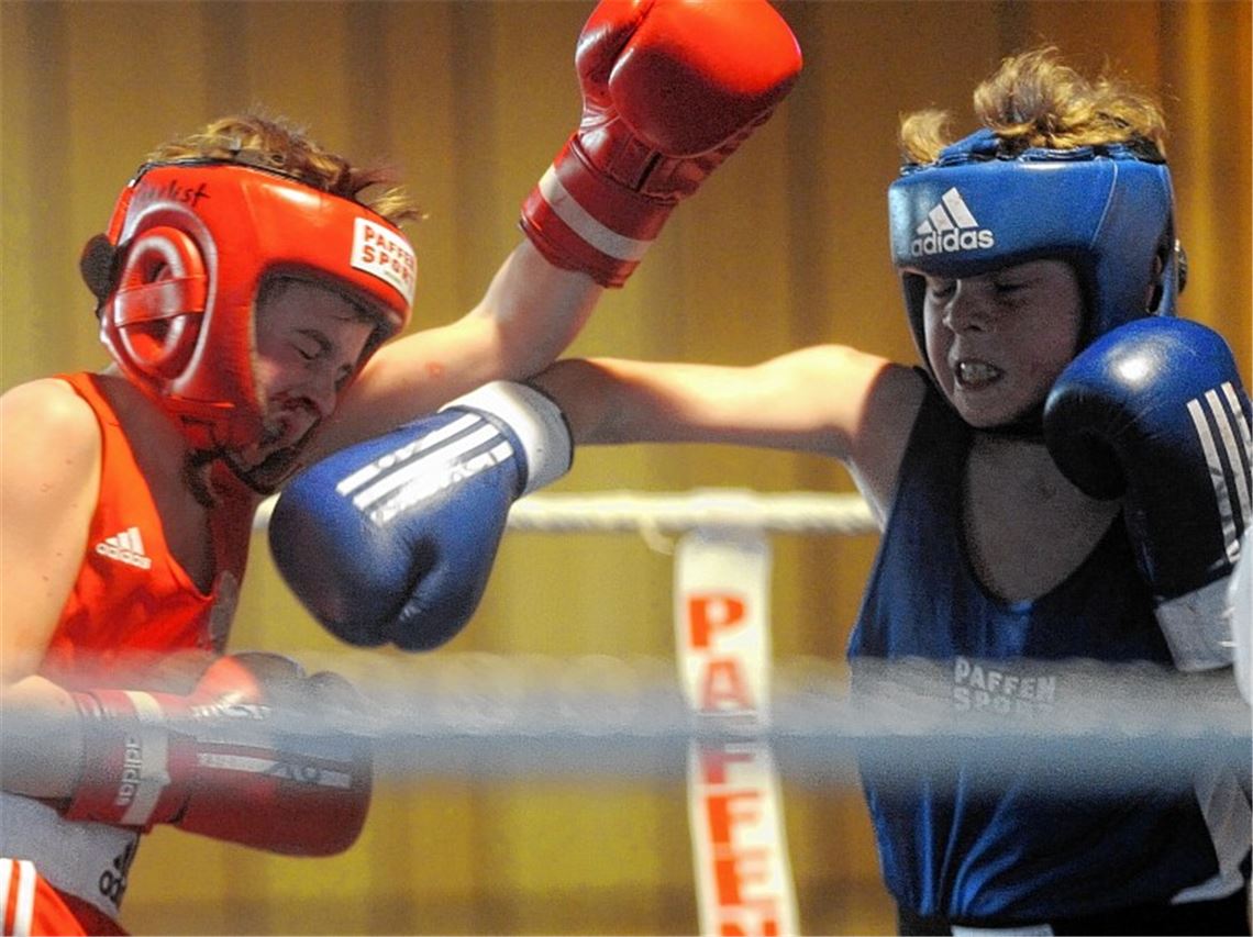 Boxer vom Virus ausgeknockt