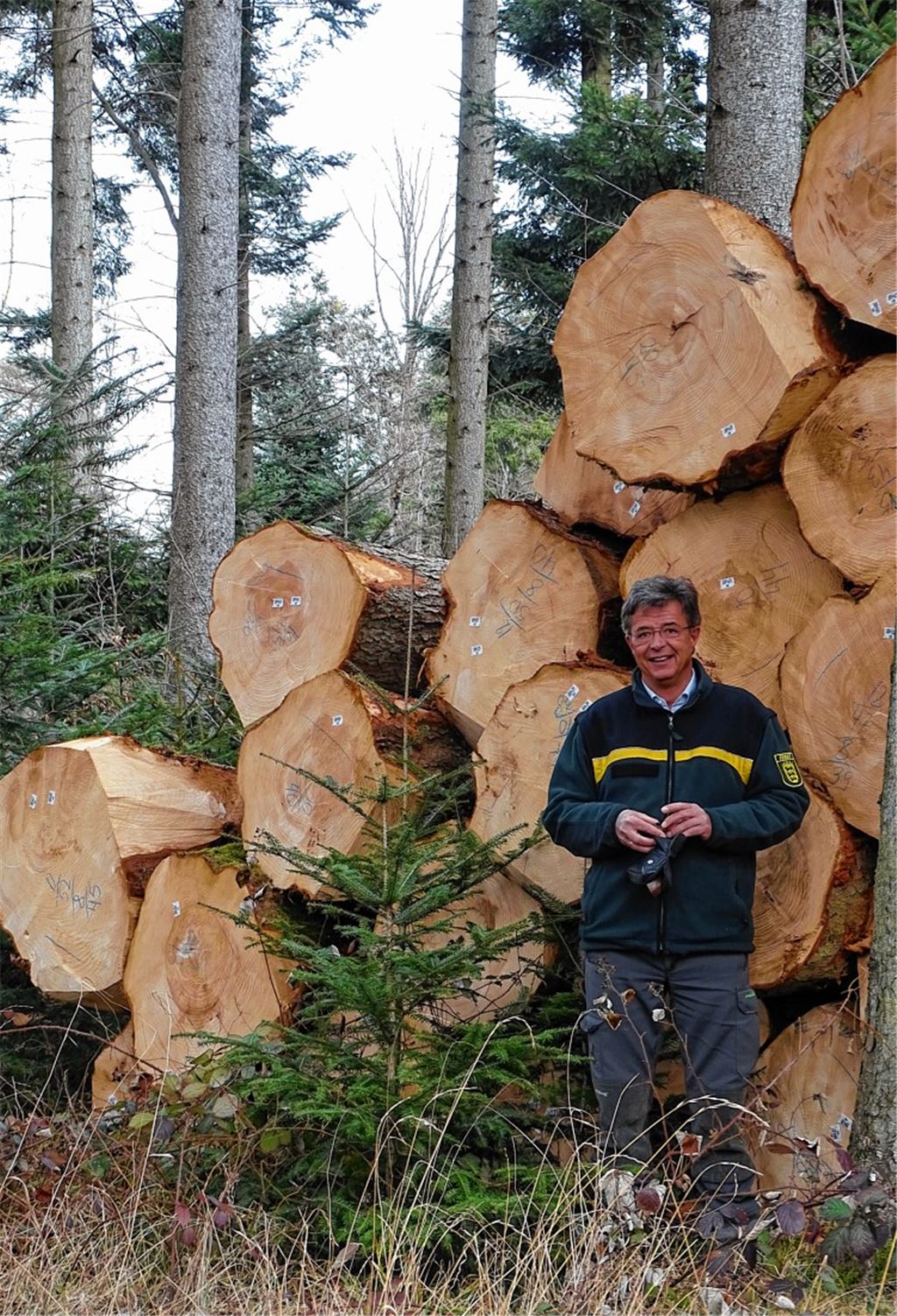 Kreis beklagt Urteil zur Forstwirtschaft