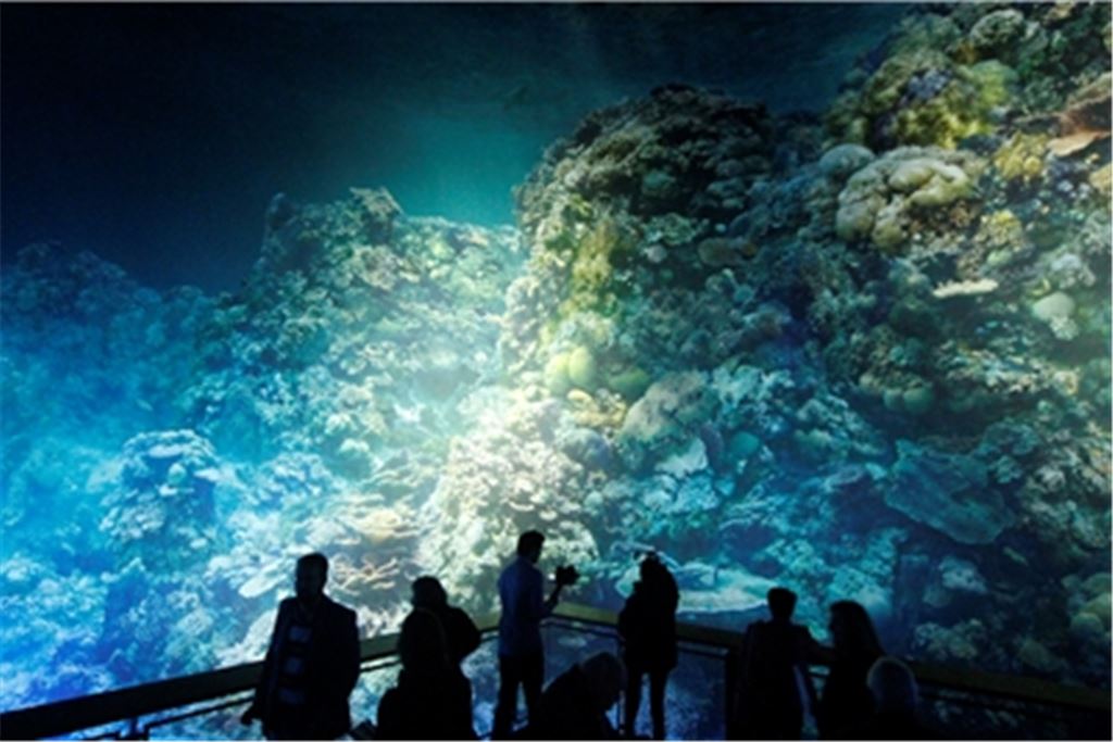 Im Gasometer können die Besucher in die Unterwasserwelt der Korallenriffs eintauchen – ganz ohne Taucherausrüstung. Archivfoto: Kollros