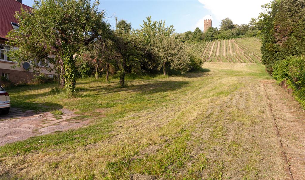 Im Herbst könnte hier der Bau eines Mehrfamilienhauses starten. Foto: Fotomoment