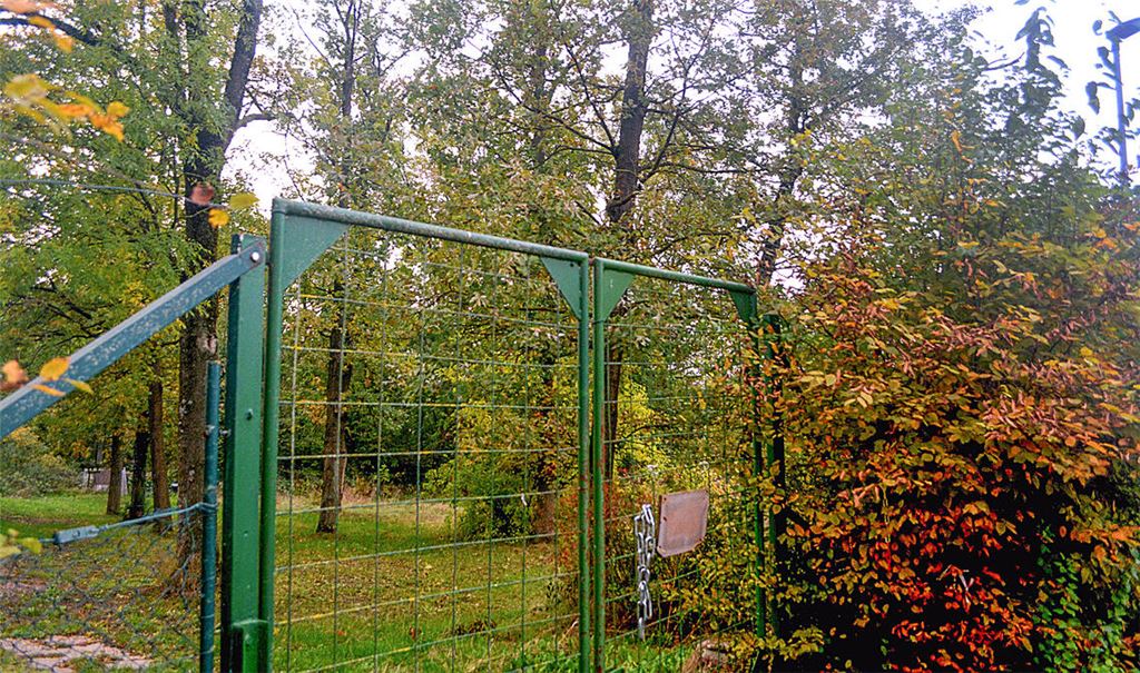 Im Illinger Eichwald soll der neue Kindergarten gebaut werden. Foto: Stahlfeld