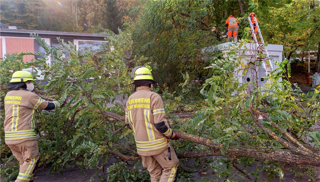 Im Kißlingweg in Mühlacker entfernt die Freiwillige Feuerwehr Teile eines Baumes, die auf ein Trafohäuschen gestürzt sind. Fotos: Fotomoment