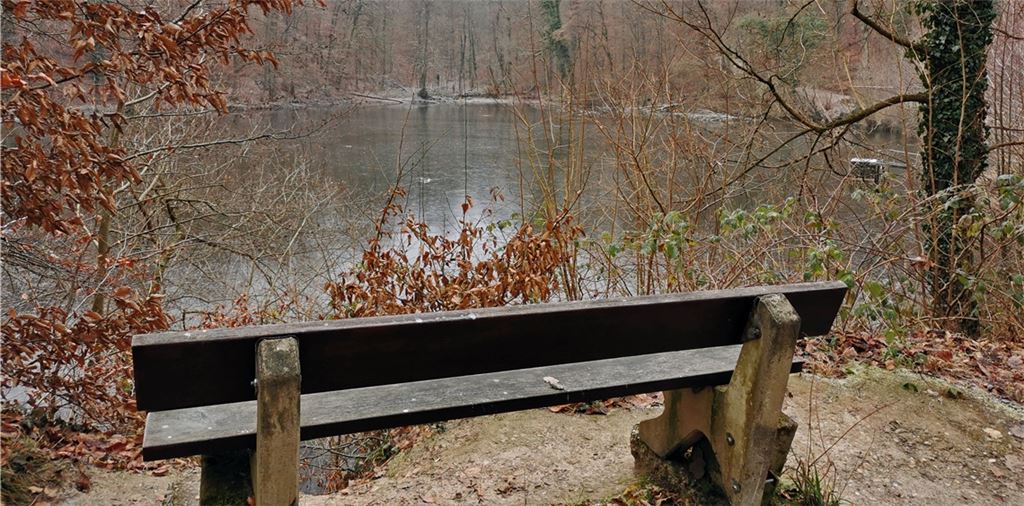 Im Kraichsee ging viel zu früh das Leben einer außergewöhnlich begabten jungen Frau zu Ende. Fotos: Hansen, Becker
