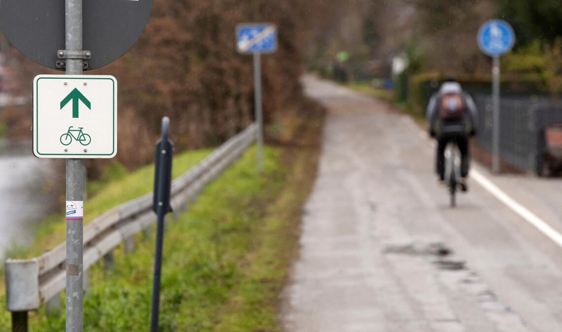 Im Kreistag regt sich Kritik am Tempo, mit dem das Radnetz ausgebaut und optimiert werden soll. Foto: Archiv/Fotomoment