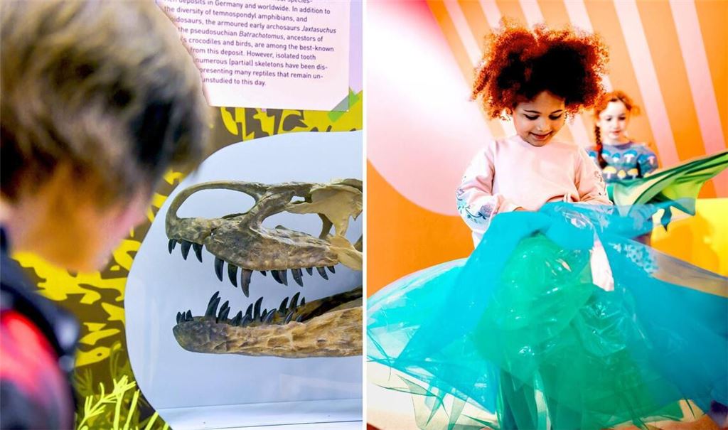 Im Löwentormuseum gibt’s eine neue Ausstellung für große und kleine Dino-Fans. Und im Jungen Schloss geht es bunt zu.