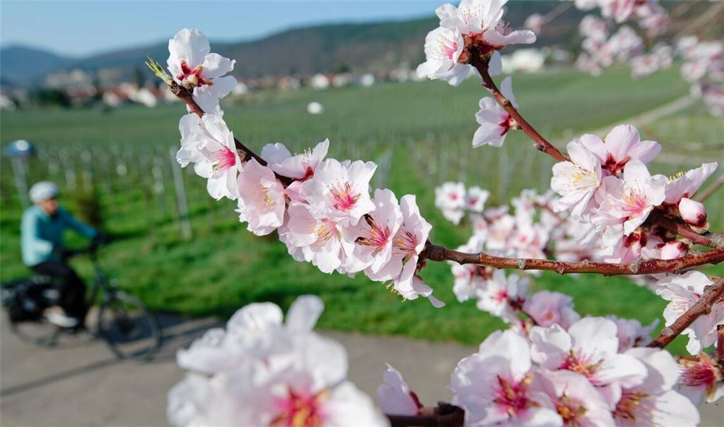 Im März lockte das Wetter bereits zu vielen Aktivitäten ins Freie. (Archivbild)