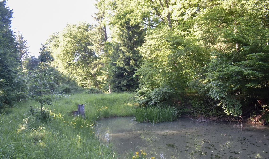 Ermittler hoffen auf Hinweise zu Verbrechen Im Ranntal wurde das Opfer eines Gewaltverbrechens gefunden. Foto: Myroshnichenko