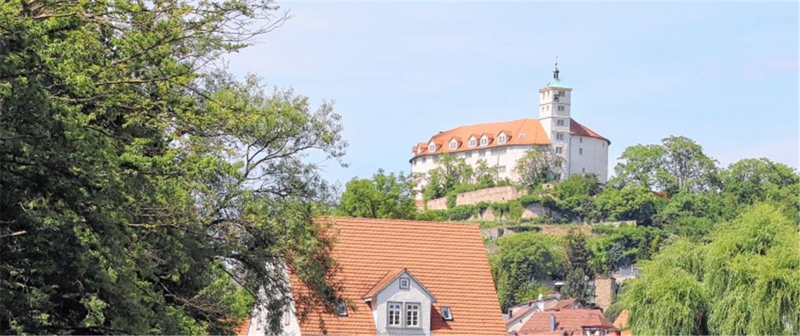 Pforzheimer will Schlossherr werden