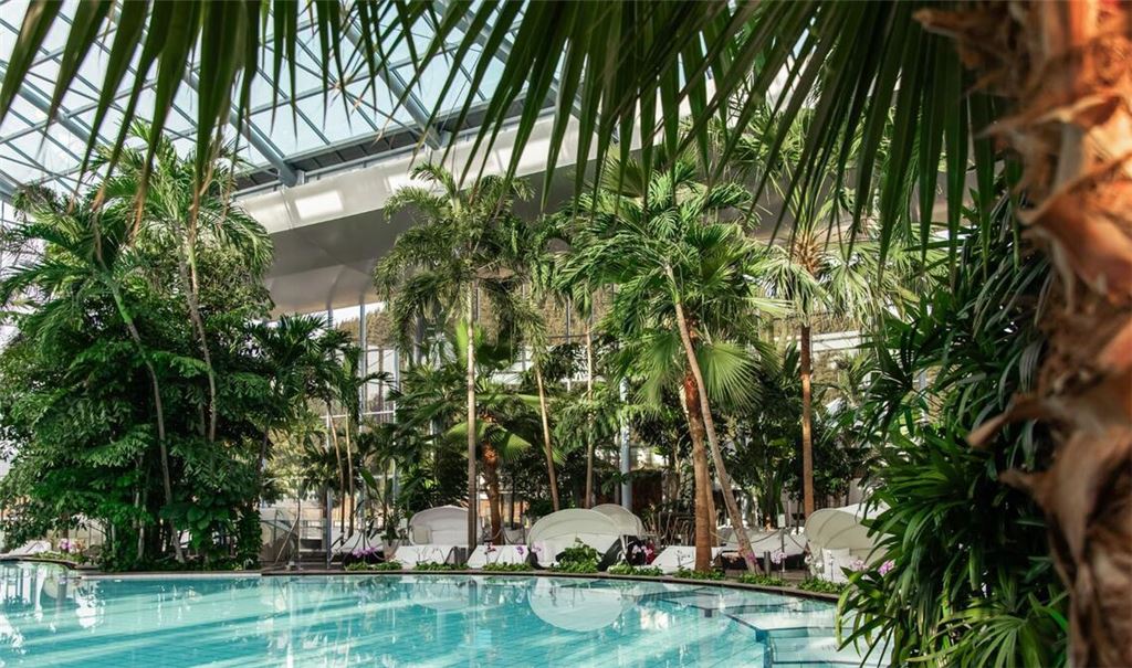 Im Schwarzwald kann man unter Palmen baden: Das Badeparadies zählt mehrere hunderttausend Besucher jährlich.