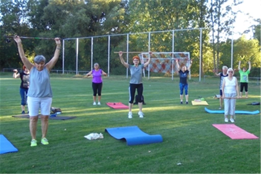 Im Sommer bot der Gym and Dacne e.V. Kurse auf dem Platz der Sportfreunde Mühlacker an, nun laufen sie virtuell. Archivfoto: privat