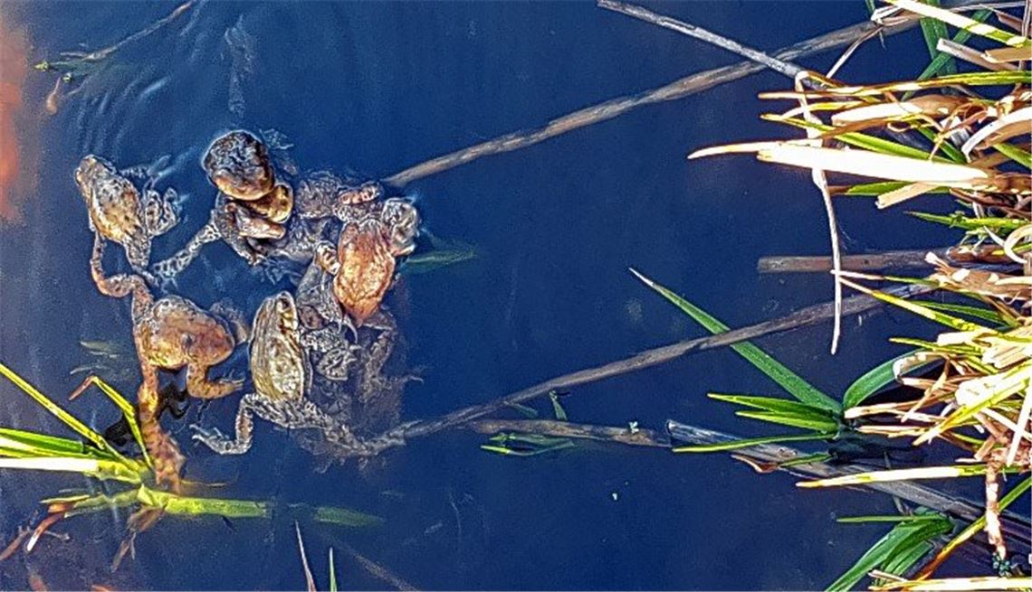 Frühlingsgefühle Frühlingsgefühle