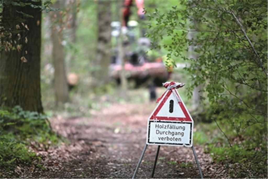 Im Wald gibt jede Menge zu tun, weil der Klimawandel vielen Bäumen zu schaffen macht. Auch wenn es in diesem Jahr geregnet hat, kann 2021 immer noch das vierte Dürrejahr in Folge werden. Archivfoto: Disselhoff