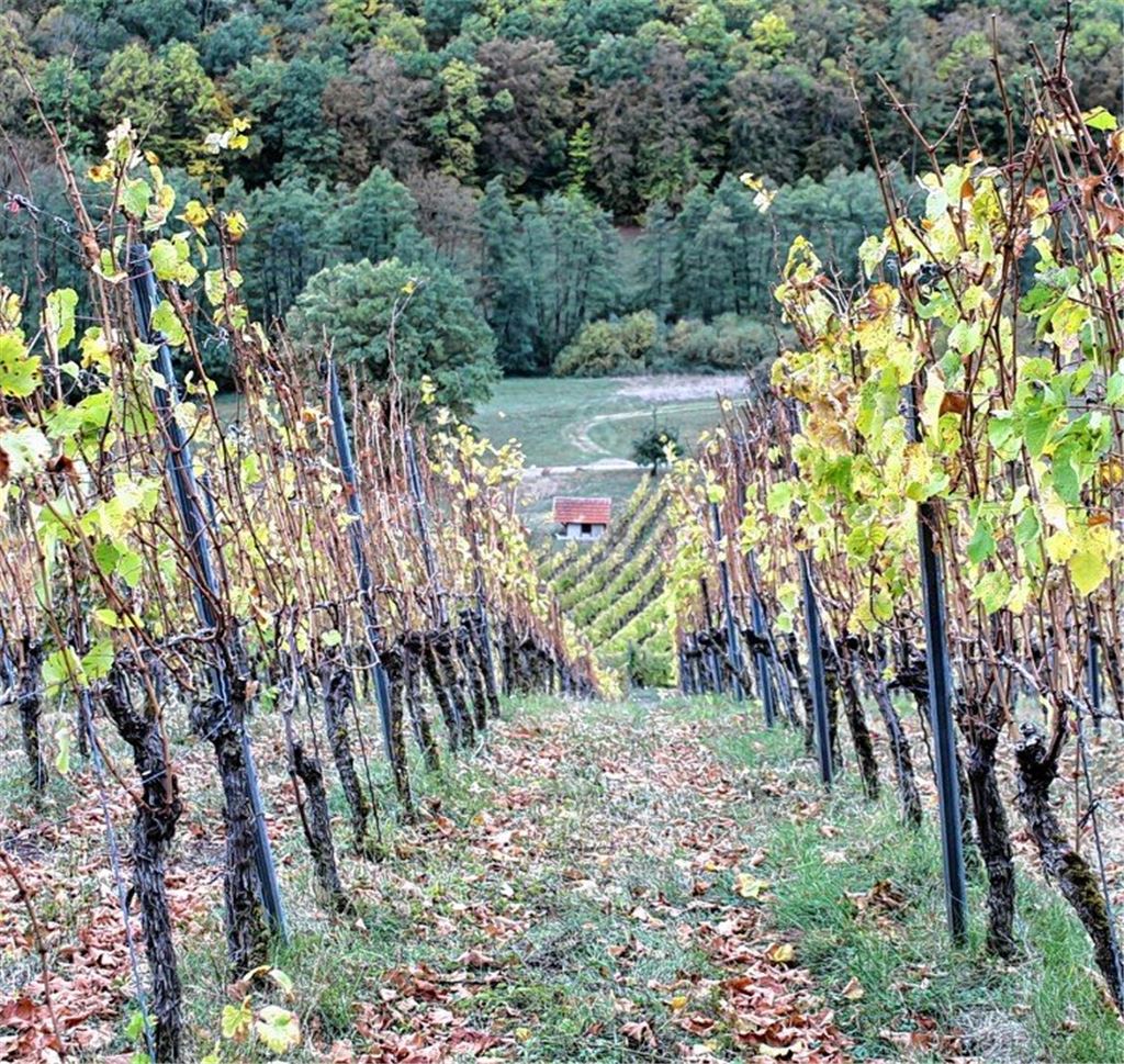 Herbstfarben
