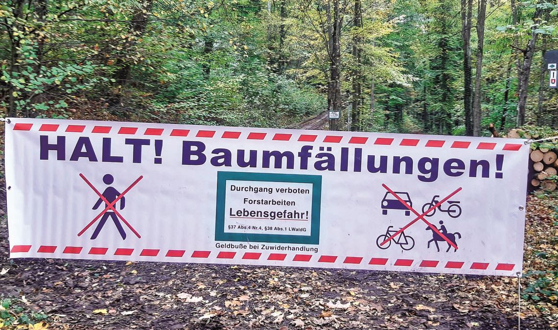 Im Winter kann es immer wieder vorkommen, dass Waldwege gesperrt werden. Spaziergänger, Reiter oder Radfahrer sollten sich unbedingt an die Regeln halten. Foto: Friedrich