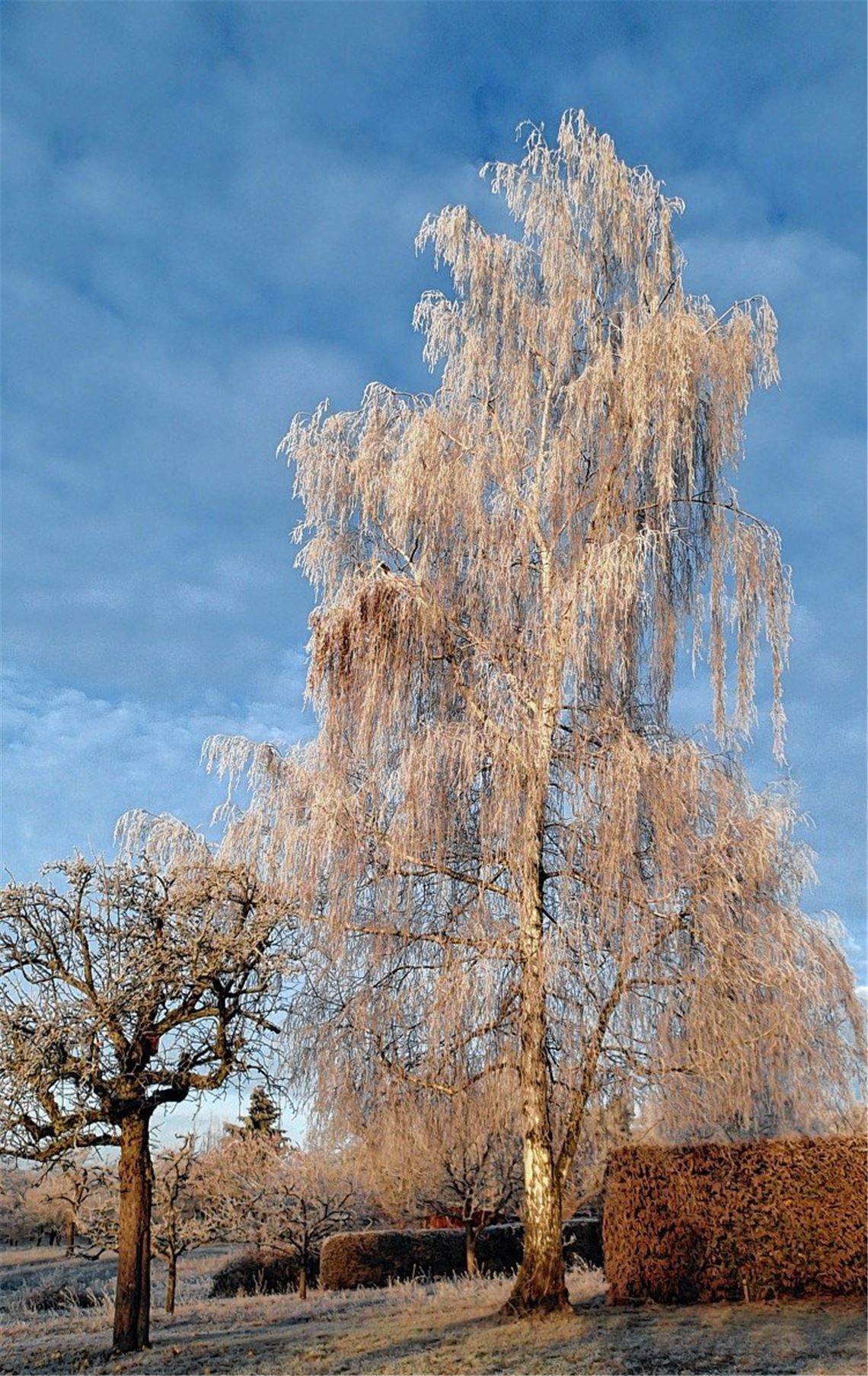 Winterzeit Winterzeit