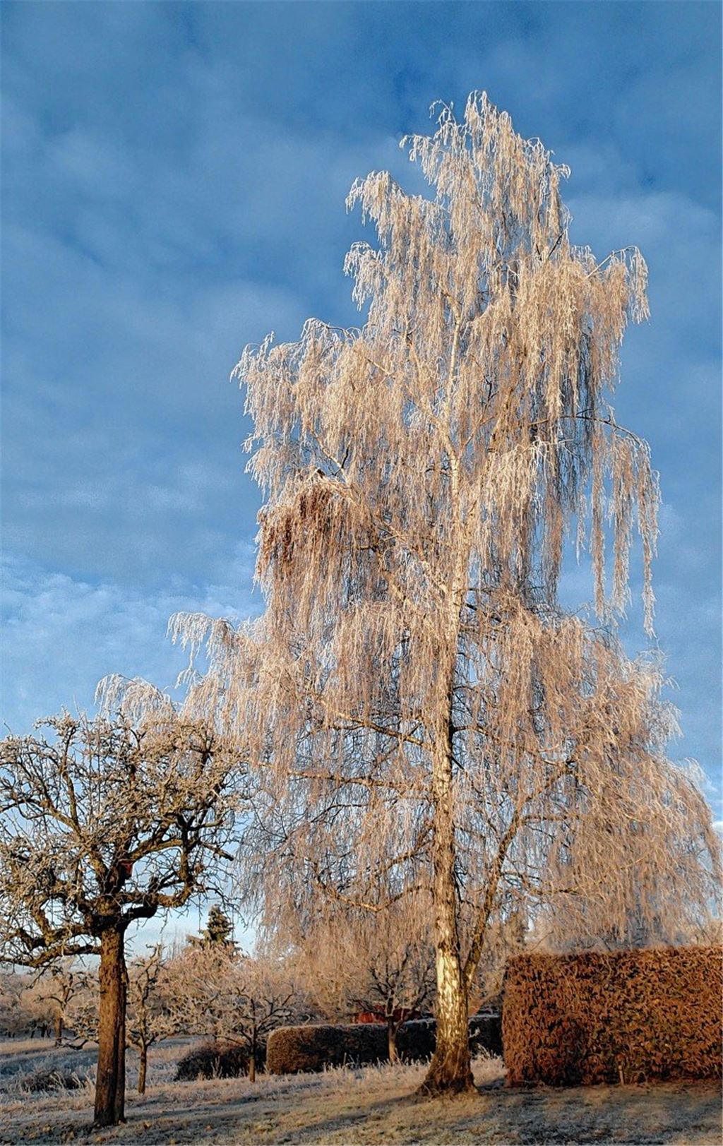 Winterzeit