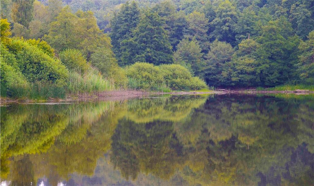 Im geheimnisvollen Bernhardsweiher gibt es noch den Laubfrosch. Fotos: Lechner