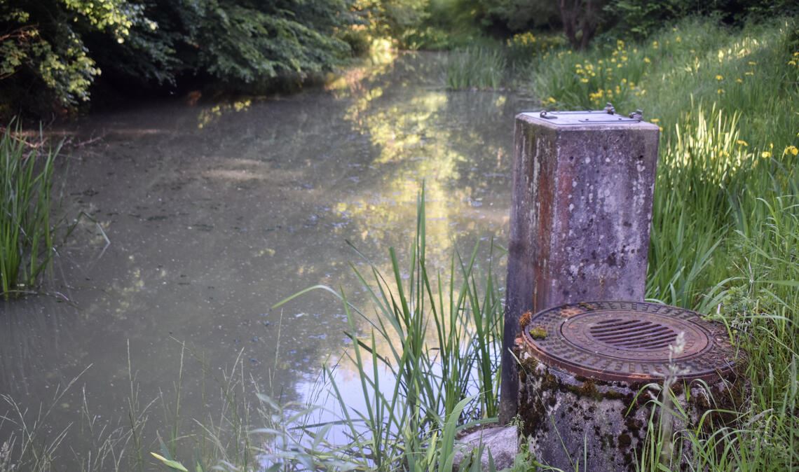 Im sumpfigen Gelände des Kelterner Ranntals wurde der Leichnam des 59-jährigen Igor T. aus Baden-Baden gefunden. Er wurde Opfer eines Gewaltverbrechens. Foto: Myroshnichenko