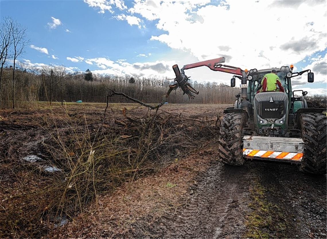 Im zweiten Bauabschnitt des Gewerbegebiets Talweg-Süd entstehen 2,5 Hektar Gewerbefläche. Foto: Fotomoment