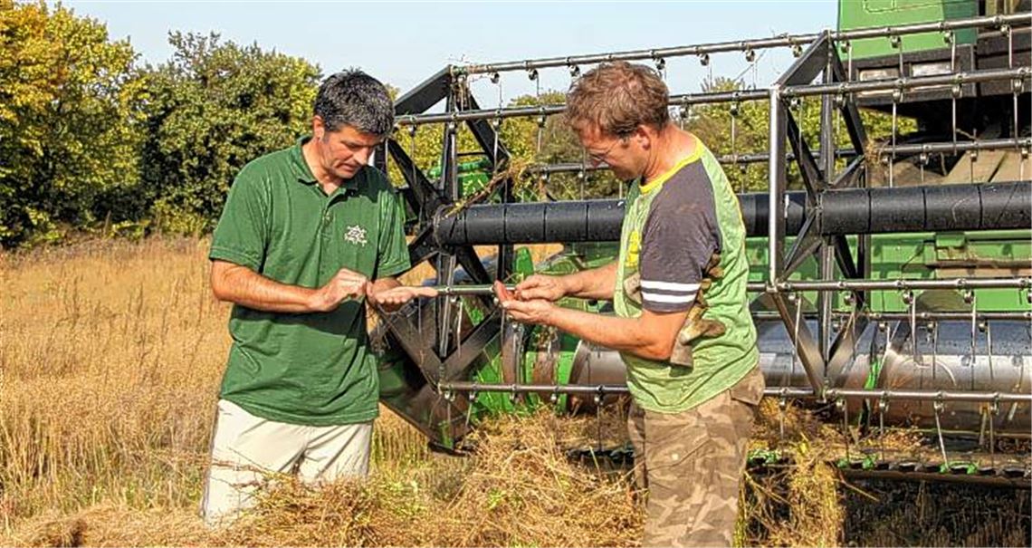 Im zweiten Versuch ist Landwirt Frank Bäuerle bei der Leinsamenernte erfolgreich.