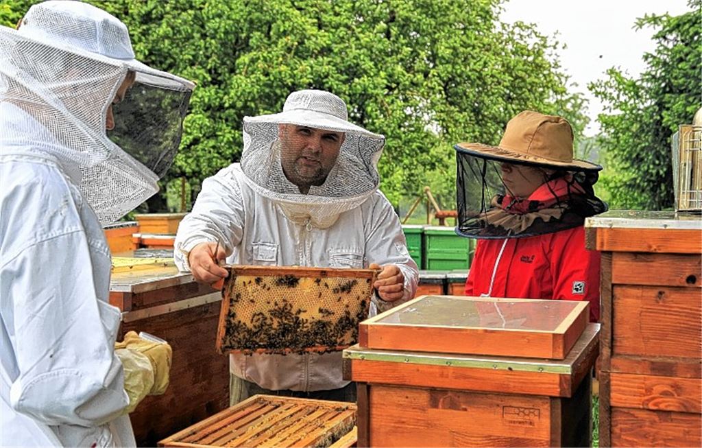 Maja und Co. im Dienst der Wissenschaft