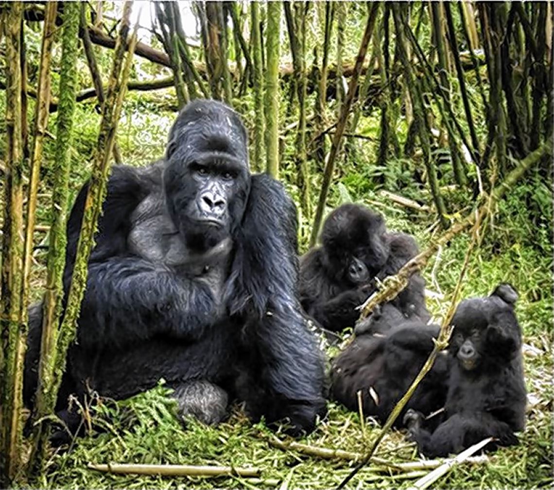 Imposante Bilder.Foto: privat