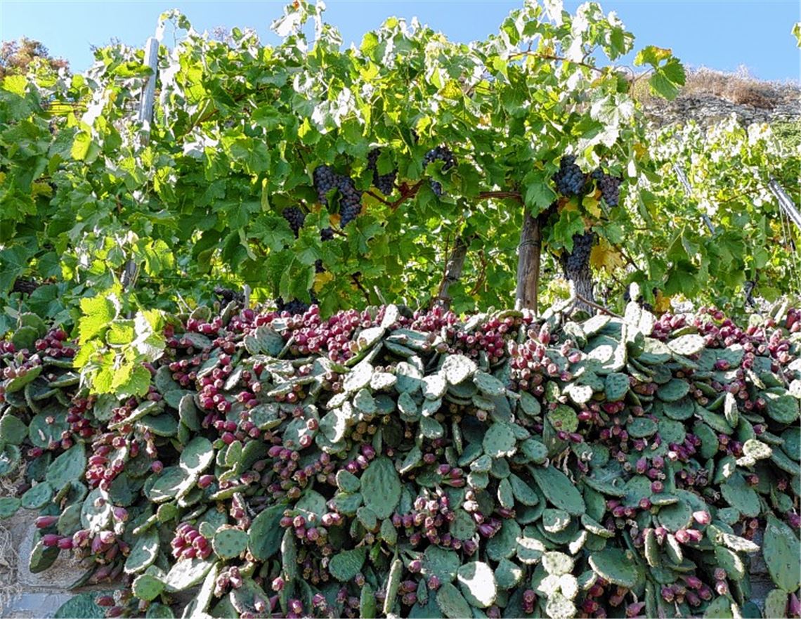 Herbstfarben Herbstfarben