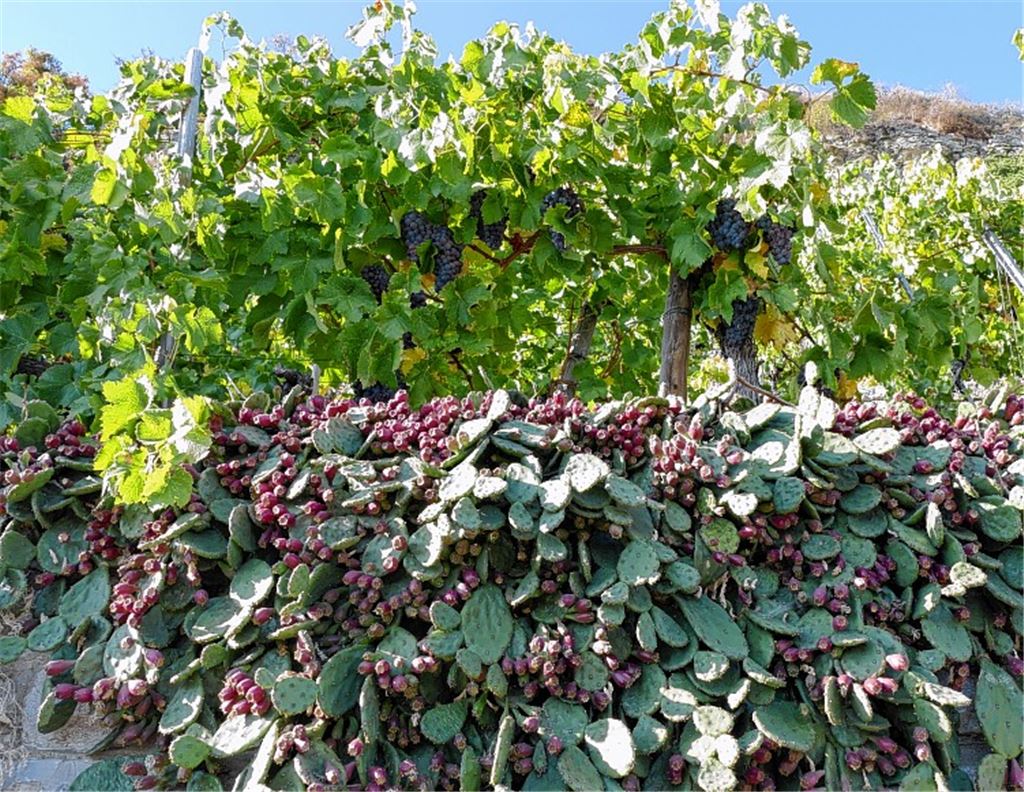 Herbstfarben
