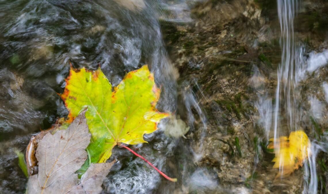 In Baden-Württemberg beginnt die neue Woche trüb und regnerisch.