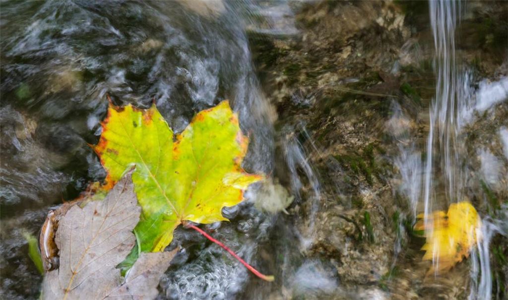 In Baden-Württemberg beginnt die neue Woche trüb und regnerisch.
