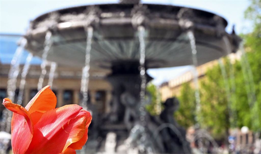 In Baden-Württemberg wird es in den kommenden Tagen sonnig.