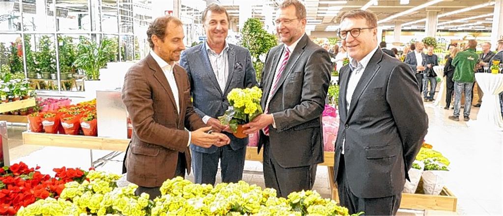 Von der Staude bis zum Tierfutter