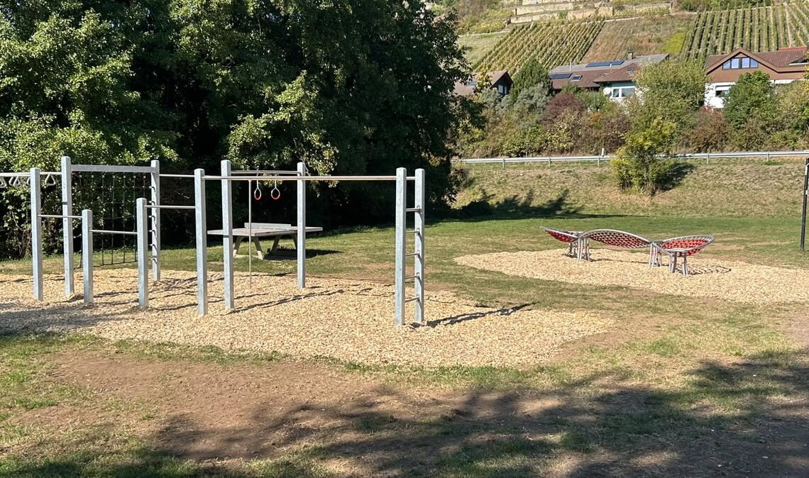 In Freudenstein gibt es eine neue Calisthenics-Anlage. Foto: privat