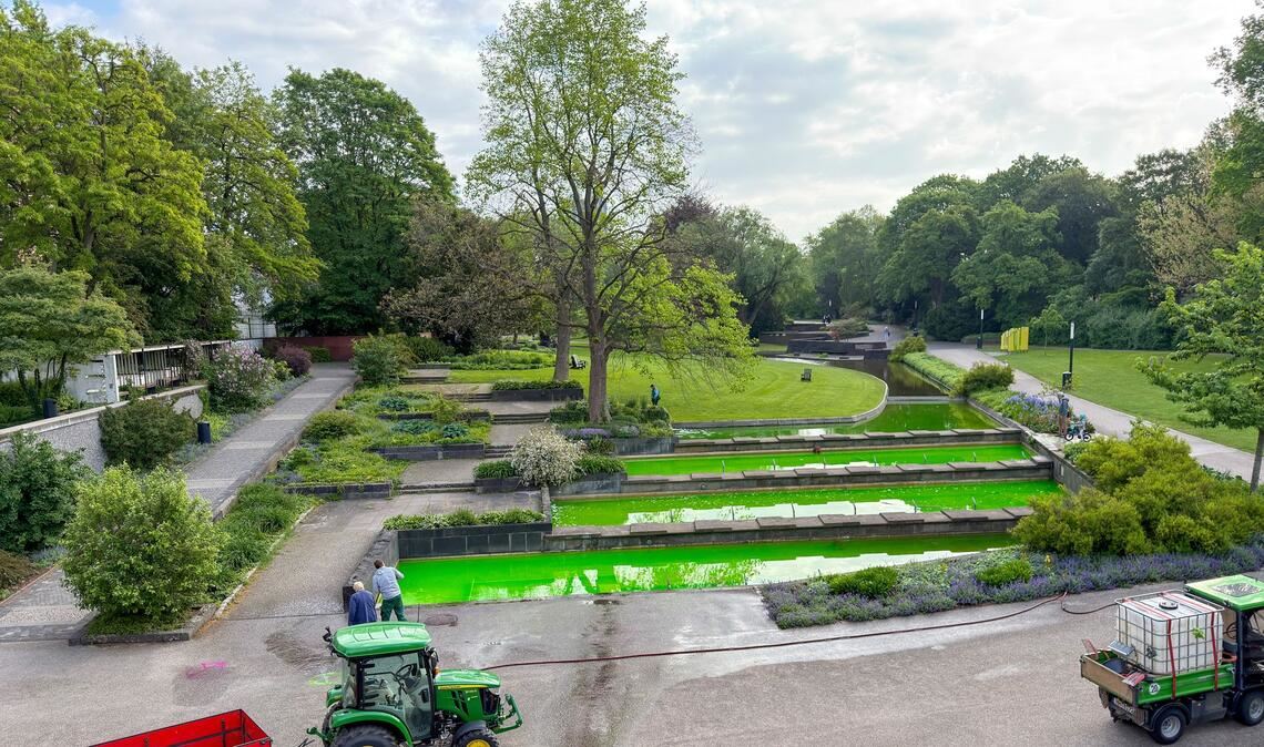 In Hamburg war unter anderem das Wasser von Springbrunnen des Parks Planten un Blomen mit grüner Farbe gefärbt.