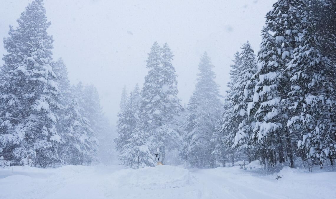 In Kalifornien ist viel Schnee gefallen.