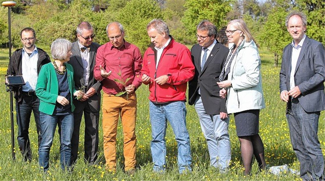 Großer Bahnhof für kleine Blüten Großer Bahnhof für kleine Blüten