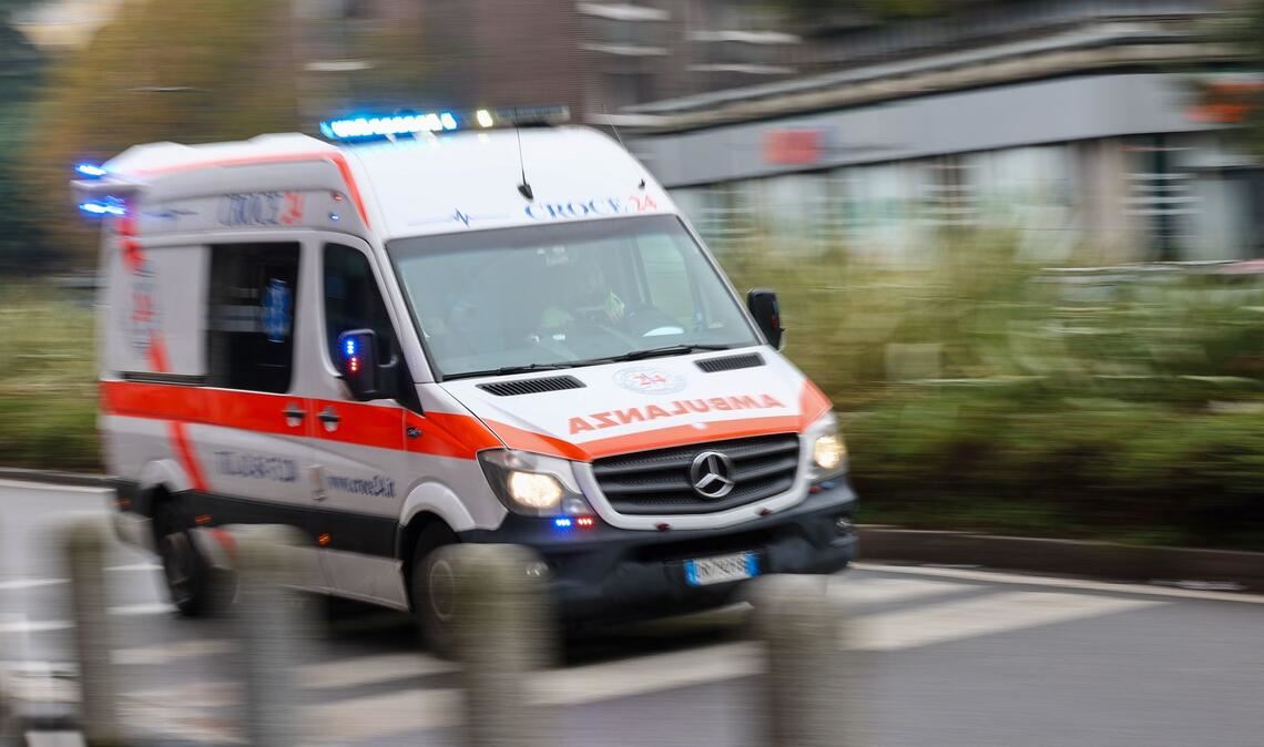 In Mecklenburg-Vorpommern ist eine Erkrankung mit dem gefährlichen Bornavirus nachgewiesen worden. Es kann nach Behördenangaben von Feldspitzmäusen auf den Menschen übertragen werden. (Symbolbild)