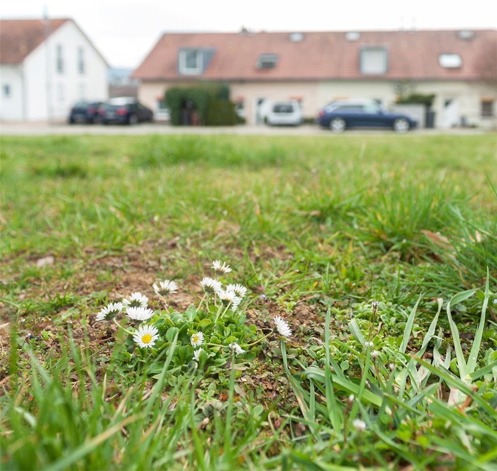 In Mühlacker gibt es noch zahlreiche Lücken innerhalb von Baugebieten. Foto: Fotomoment