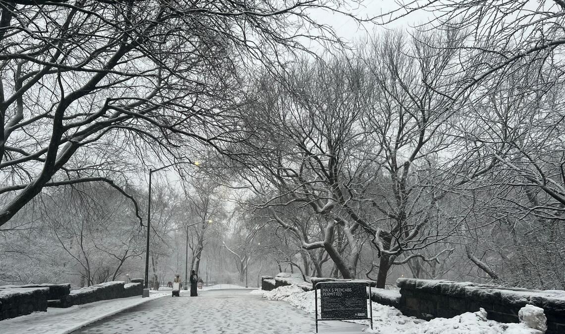 In New York legt der viele Schnee das öffentliche Leben lahm.