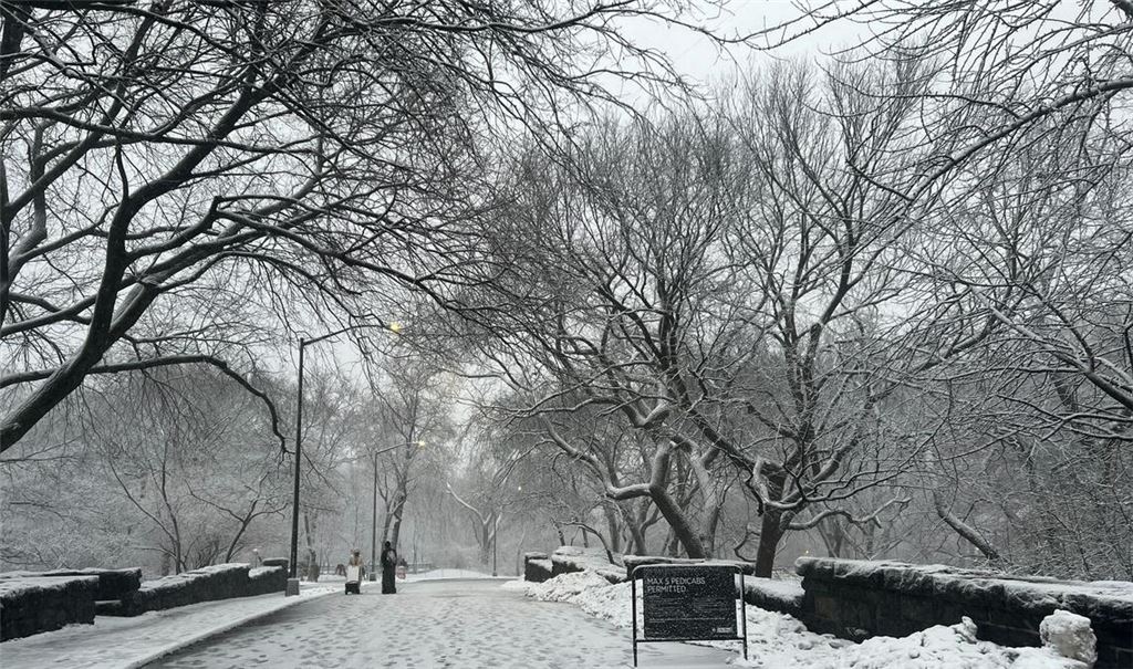 In New York legt der viele Schnee das öffentliche Leben lahm.